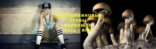 героин Алексин